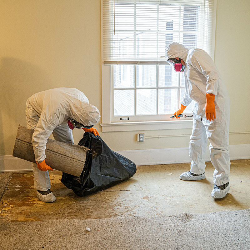 Flood Clean Up Services Budget Friendly