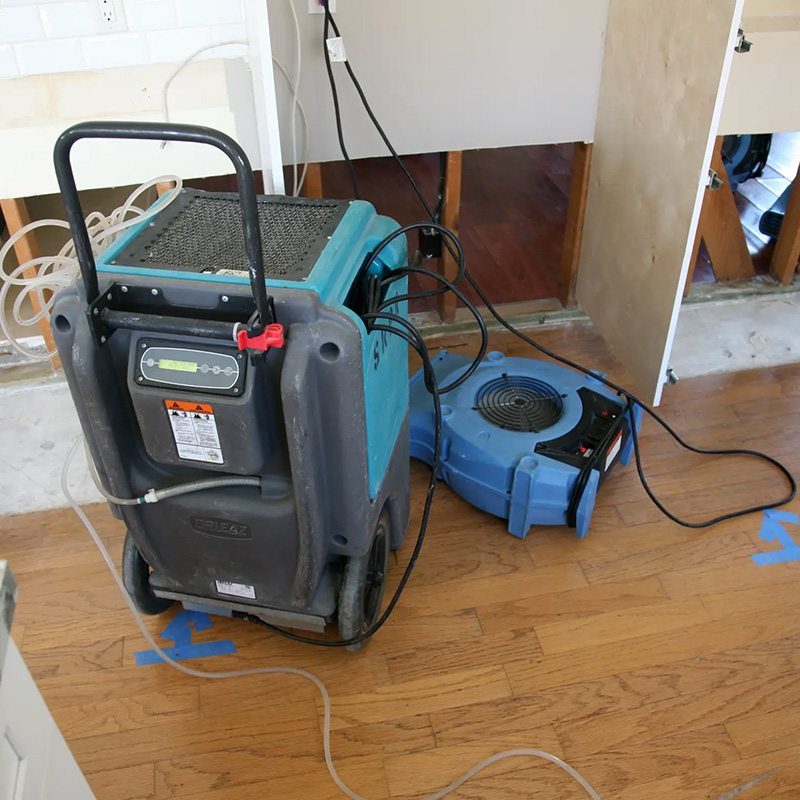 Flood Clean Up Services