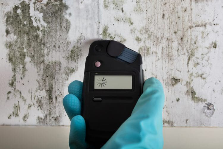 Mold Clean Up Cleveland Area