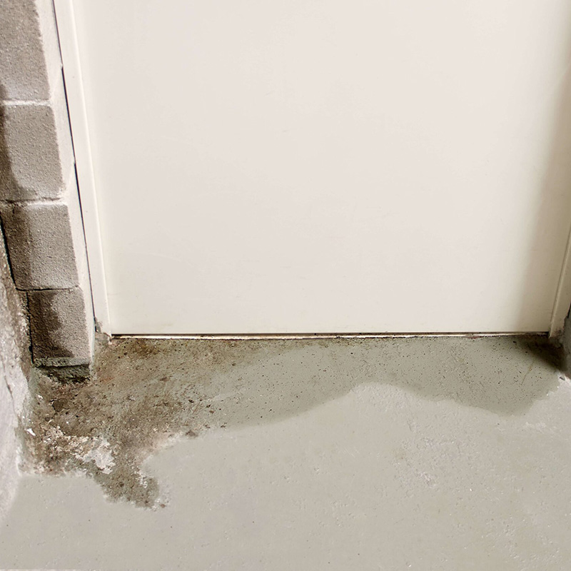 Water Extraction Flooded Basement Cleanup