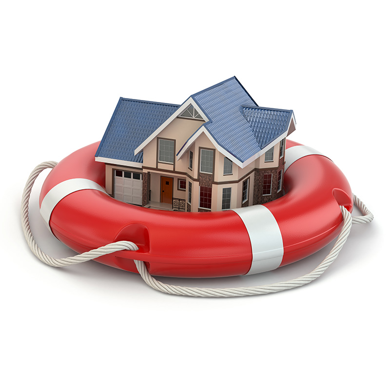 Insurance Claim Support