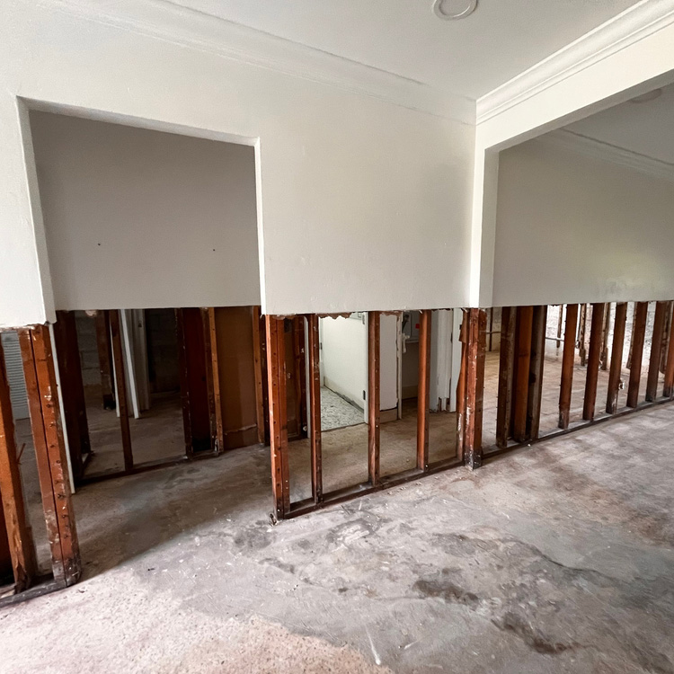 Water Mitigation TriGuard