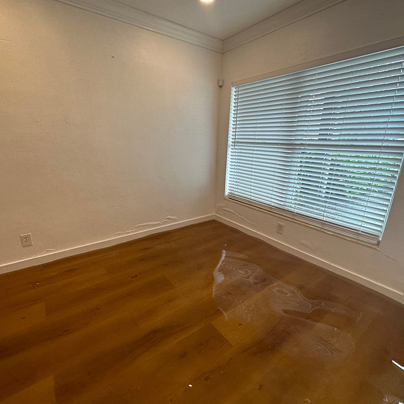 Hardwood Floor Drying
