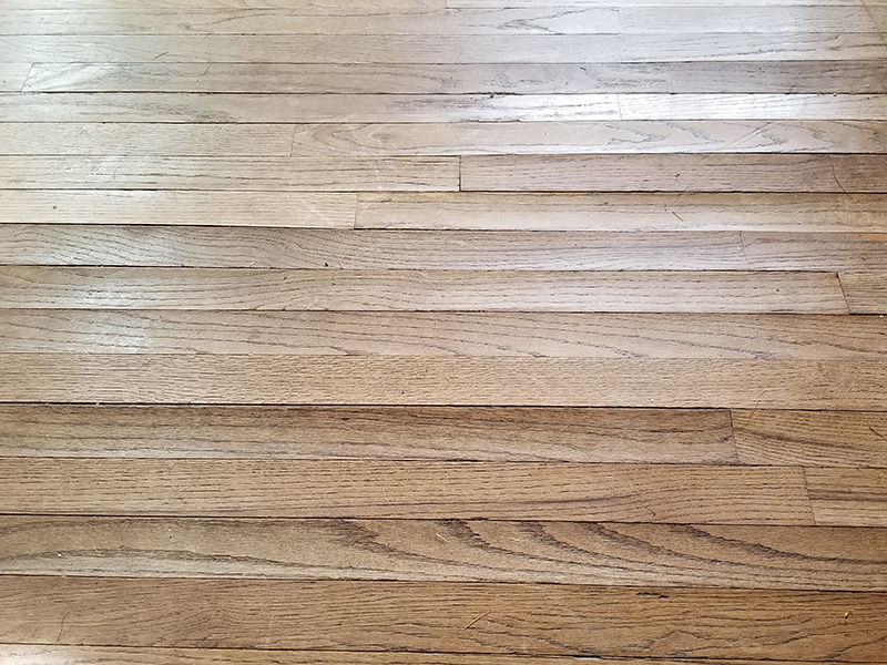 Hidden Watter Damage Buckling Floors