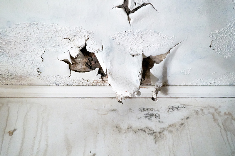 Moisture Problem Peeling Wall or Wallpaper
