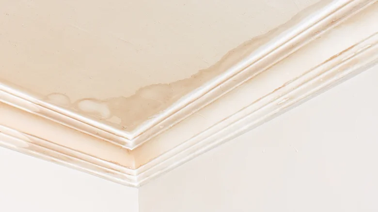 Signs of Hidden Water Damage in your House