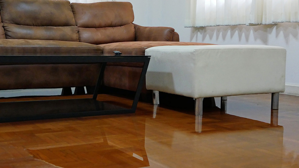 Hardwood Floor Water Damage