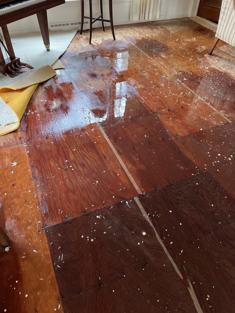 Standing water on hardwood floor causing water damage and warping in Parma and Independence Ohio homes