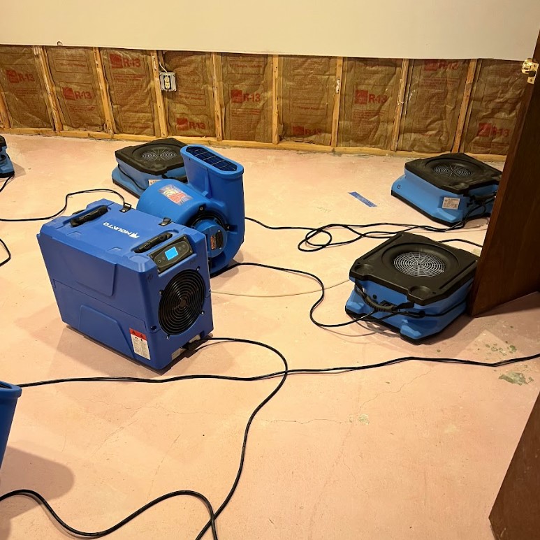 Industrial dehumidifier and air movers drying a water damaged basement with exposed insulation in Shaker Heights, OH