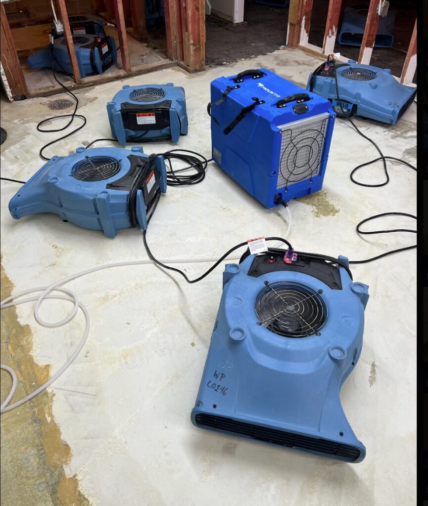 Air movers and dehumidifier drying a basement after residential water damage